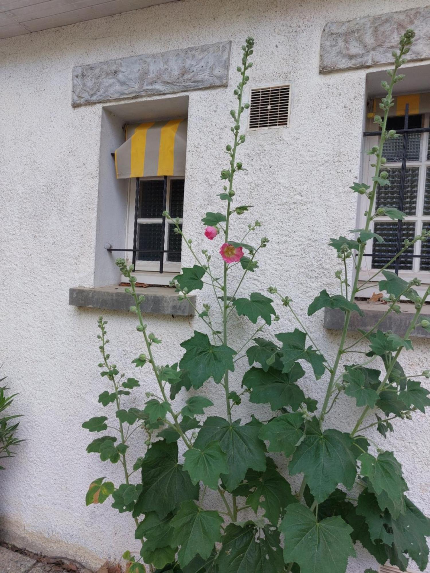 Les Allees Du Chateau Le Mazeau Exterior photo